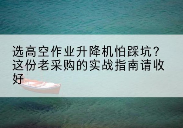 阳山高空作业升降机厂家推荐-选高空作业升降机怕踩坑？这份老采购的实战指南请收好