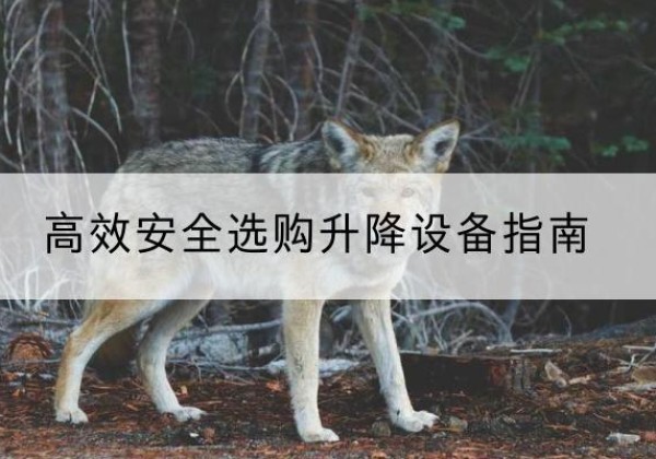 阳山升降货梯厂家推荐-*安全选购升降设备指南