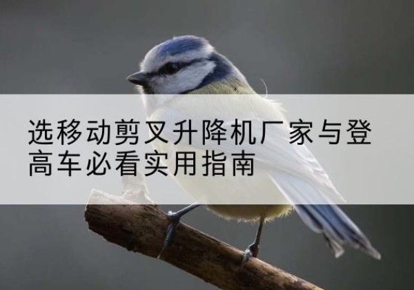 阳山电动升降机厂家-选移动剪叉升降机厂家与登高车必看实用指南