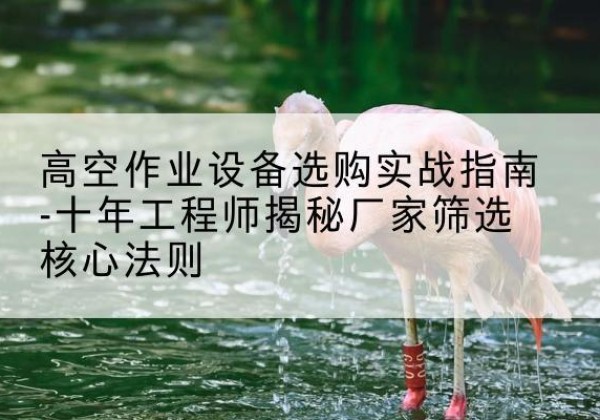 阳山剪叉式升降机厂家-高空作业设备选购实战指南-十年工程师揭秘厂家筛选核心法则